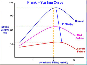 Frank Starling